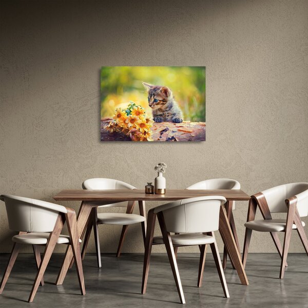 Staklena slika mačića koji gleda cvijet (70x50 cm)