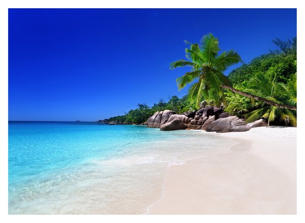 Staklena slika plaže na otoku Praslin (70x50 cm)