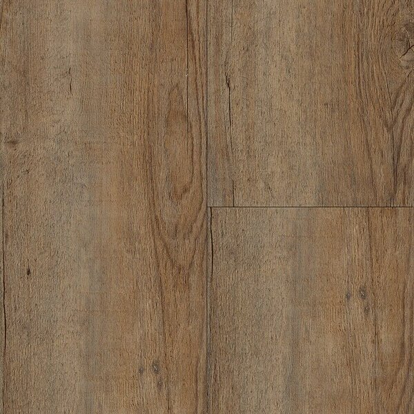 B!design Podna vinilna obloga Rigid SPC Tundra pinija (Ostalo, 1.220 x 181 x 3,8 mm) + BAUHAUS jamstvo 25 godina