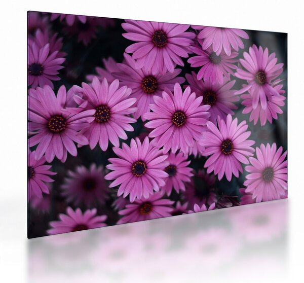 Staklena slika ružičastog cvijeća (70x50 cm)