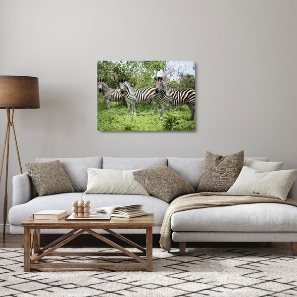 Staklena slika sa zebrama (70x50 cm)