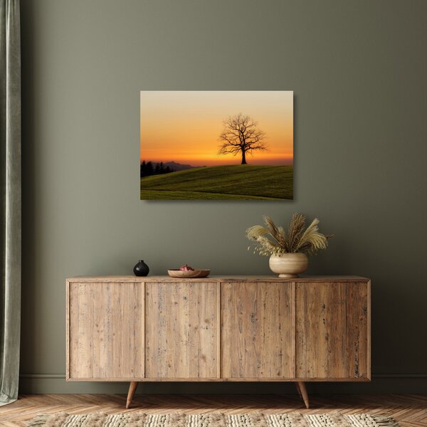 Staklena slika zalaska sunca na livadi (70x50 cm)
