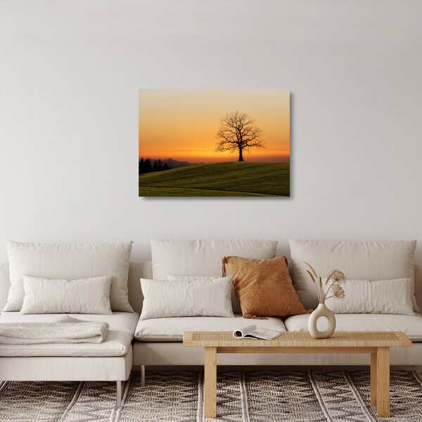 Staklena slika zalaska sunca na livadi (70x50 cm)