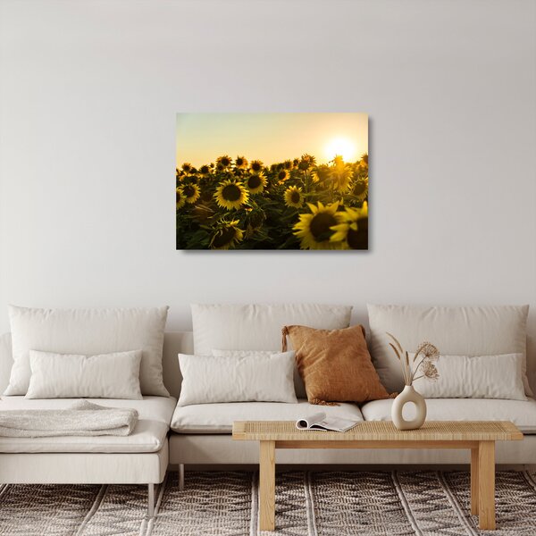 Staklena slika polja suncokreta (70x50 cm)