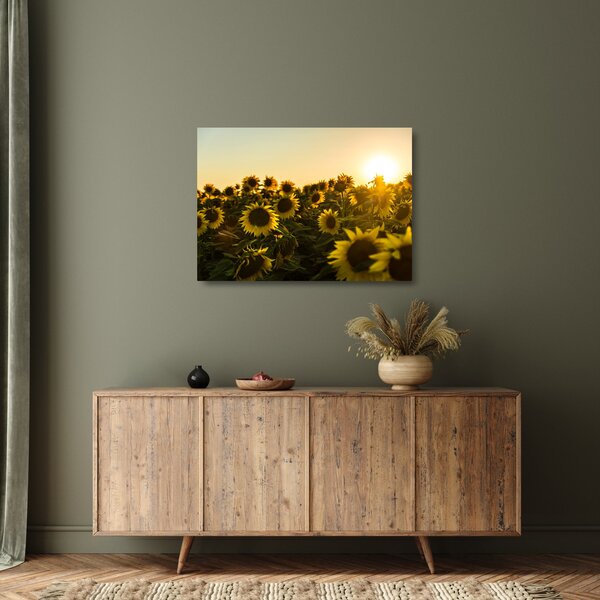 Staklena slika polja suncokreta (70x50 cm)