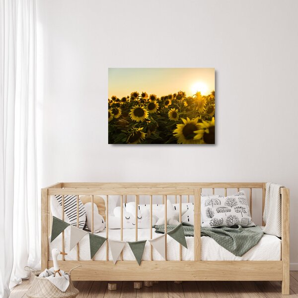 Staklena slika polja suncokreta (70x50 cm)