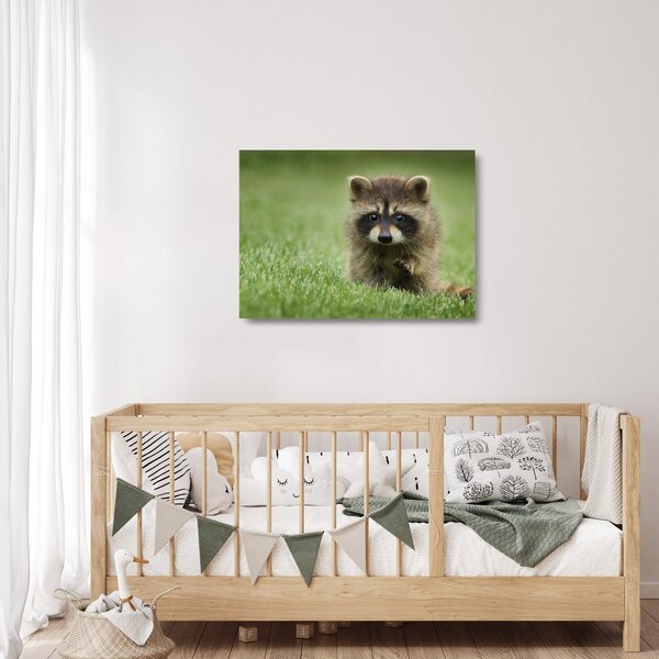 Staklena slika rakuna (70x50 cm)
