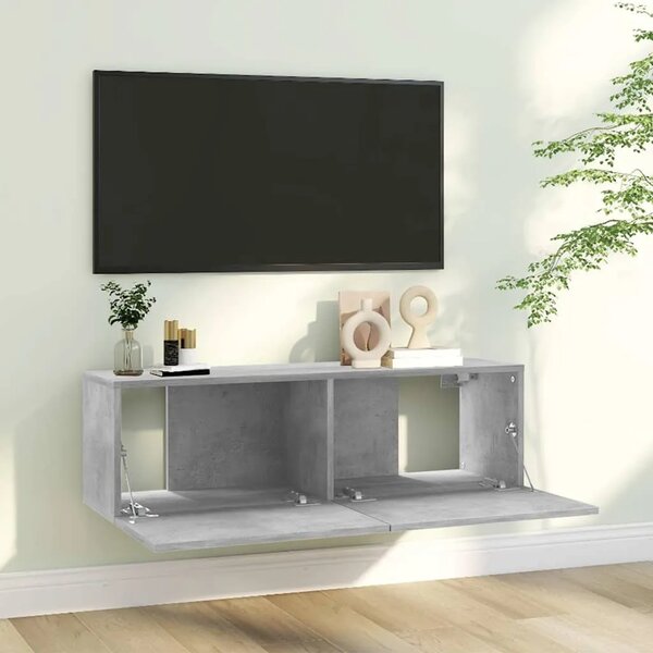 TV ormarić boja betona 100 x 30 x 30 cm od konstruiranog drva - Beton siva 1 100 cm Beton siva
