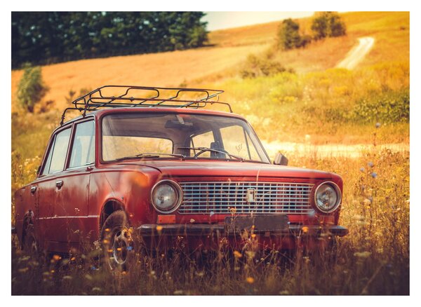 Staklena slika automobila u polju (70x50 cm)