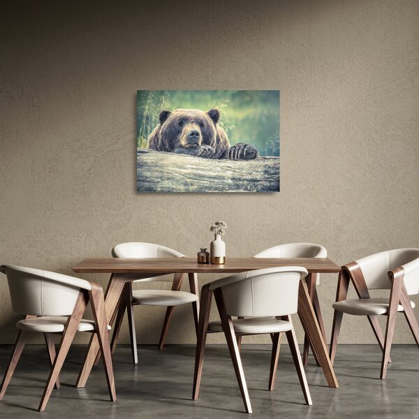 Staklena slika medvjeda (70x50 cm)