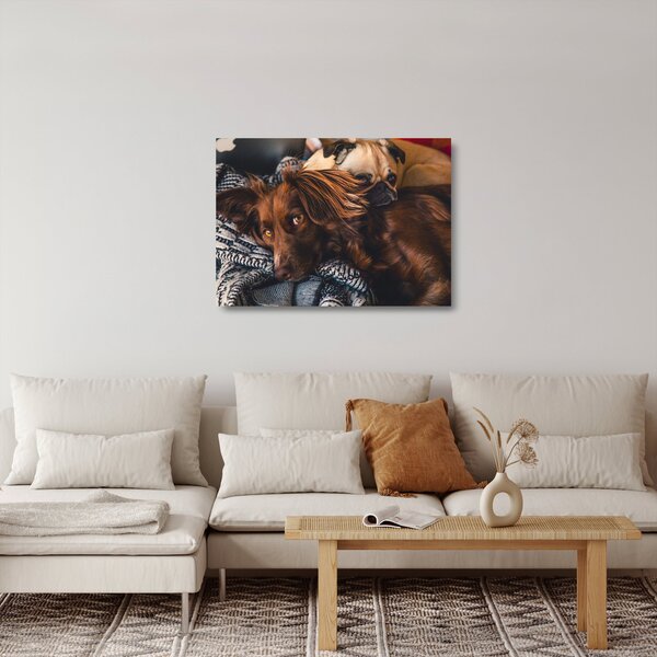 Staklena slika pasa koji leže (70x50 cm)