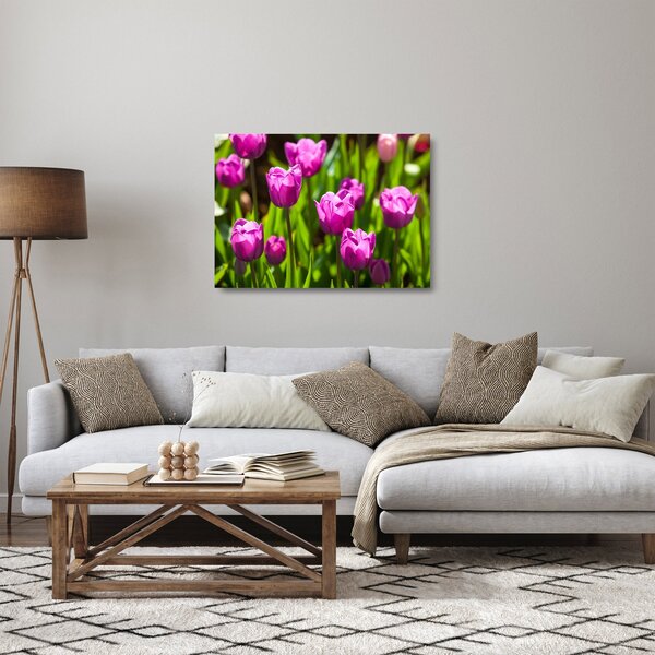 Staklena slika tulipana na livadi (70x50 cm)