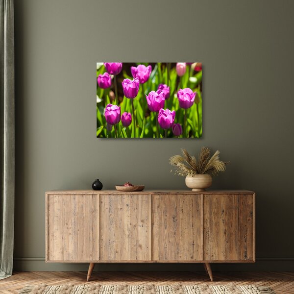 Staklena slika tulipana na livadi (70x50 cm)