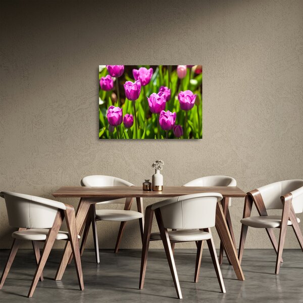 Staklena slika tulipana na livadi (70x50 cm)