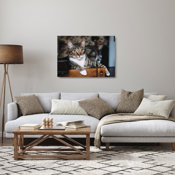 Staklena slika mačke (70x50 cm)