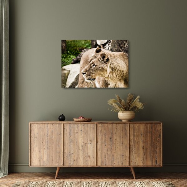 Staklena slika lavice (70x50 cm)