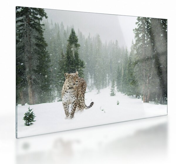 Staklena slika leoparda u snijegu (70x50 cm)