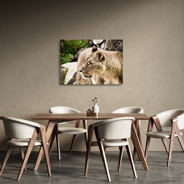 Staklena slika lavice (70x50 cm)