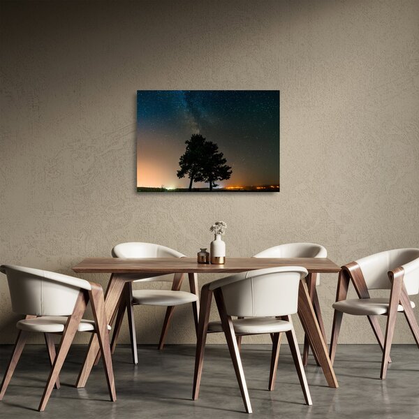 Staklena slika noćnog neba s drvećem (70x50 cm)