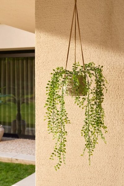 Umjetna puzavica Pumila 80 UV - 71 - 90 cm