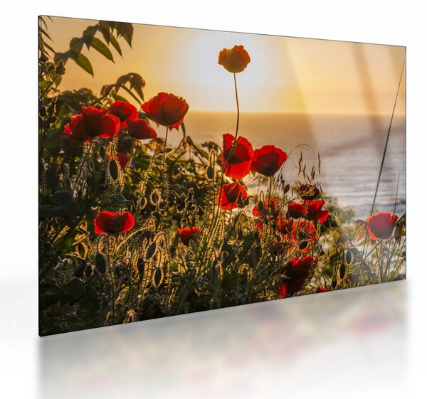 Staklena slika zalaska sunca s makovima (70x50 cm)