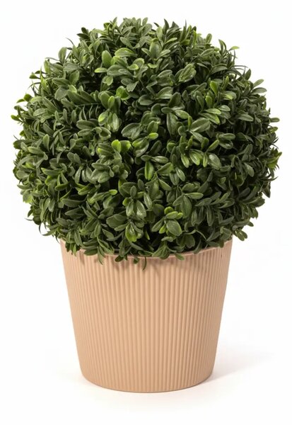 Umjetni šimšir 33 cm UV (buxus) - 31 - 50 cm