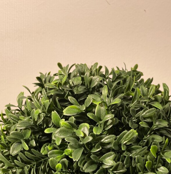 Umjetni šimšir 33 cm UV (buxus) - 31 - 50 cm