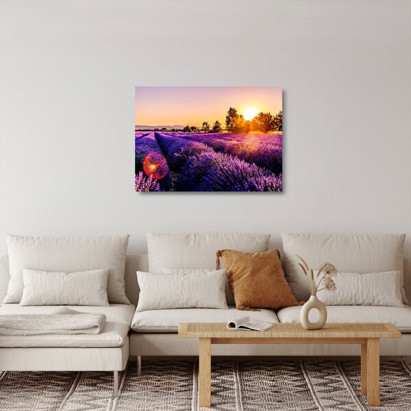 Staklena slika polja lavande (70x50 cm)
