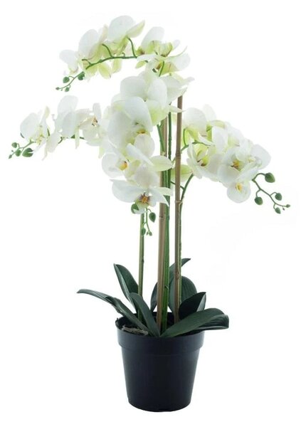 Orhideja bijela 60 cm u tegli (real tocuh) - Bijela - 51 - 70 cm