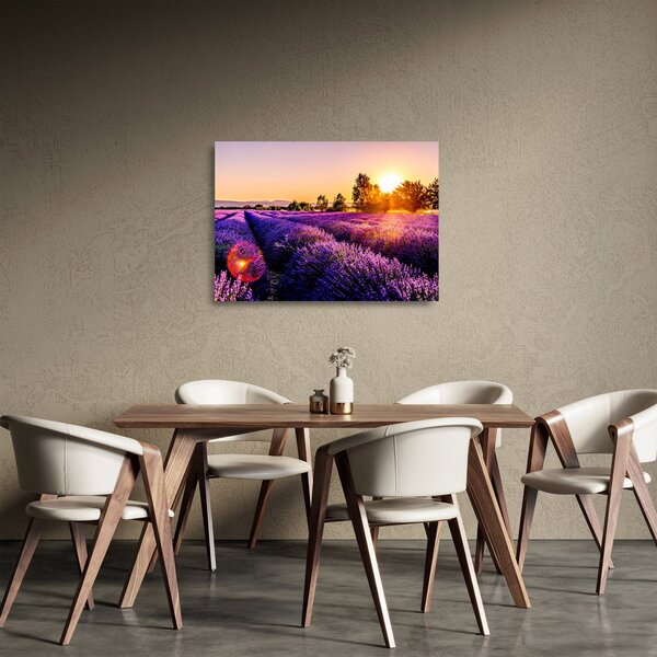 Staklena slika polja lavande (70x50 cm)