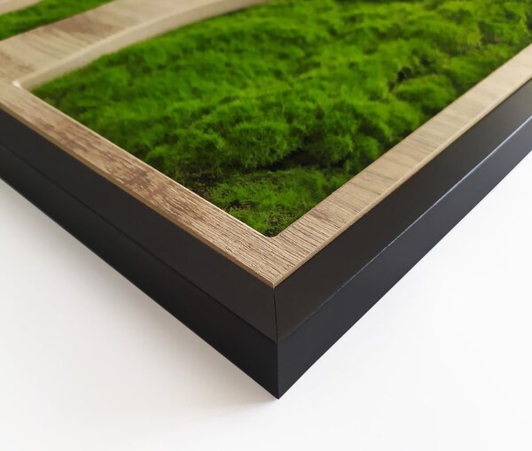 Zidni ukras 50x100 cm Tree – Styler