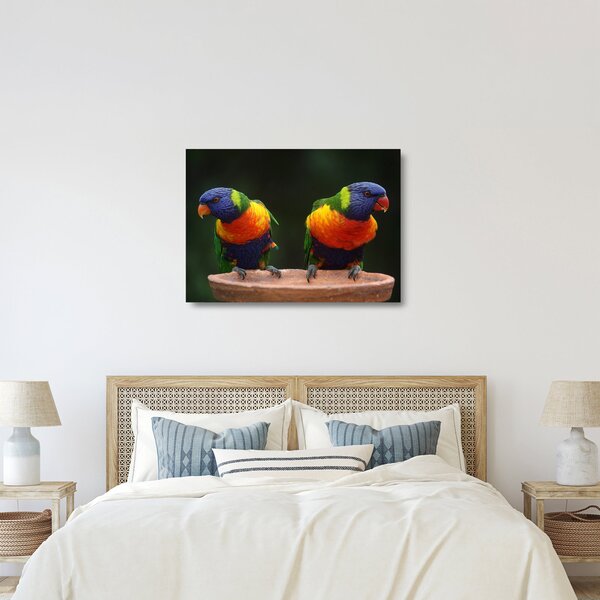 Staklena slika papiga (70x50 cm)