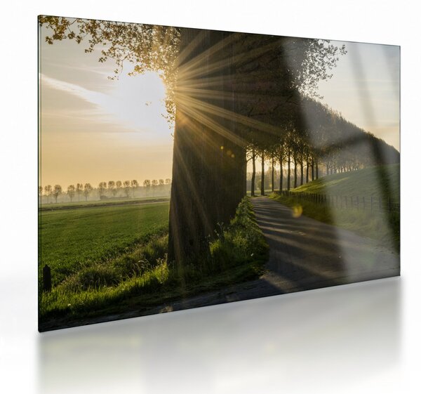 Staklena slika aleja (70x50 cm)
