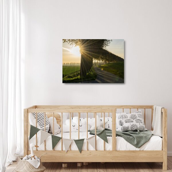 Staklena slika aleja (70x50 cm)