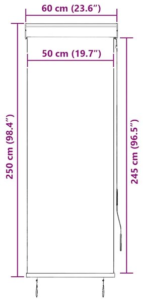 Vanjska roleta 60 x 250 cm krem - Krema 60 x 250 cm Krema 60 x 250 cm