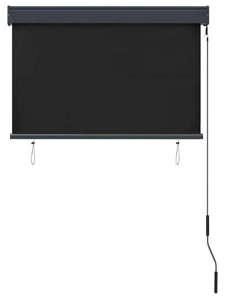 Vanjska roleta 100 x 250 cm antracit - Antracit 100 x 250 cm Antracit 100 x 250 cm