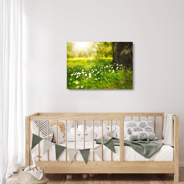 Staklena slika proplanaka i cvijeća (70x50 cm)