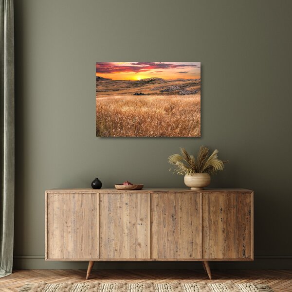 Staklena slika polja (70x50 cm)
