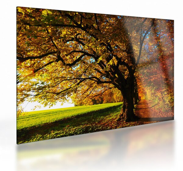 Staklena slika jeseni (70x50 cm)