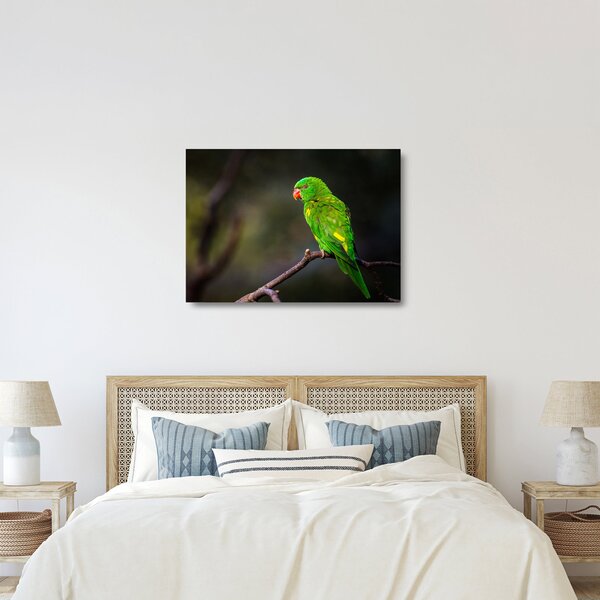 Staklena slika papige na grani (70x50 cm)