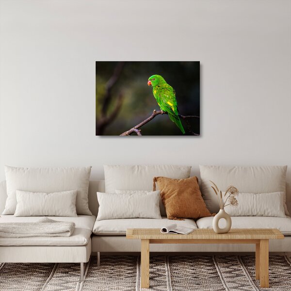 Staklena slika papige na grani (70x50 cm)