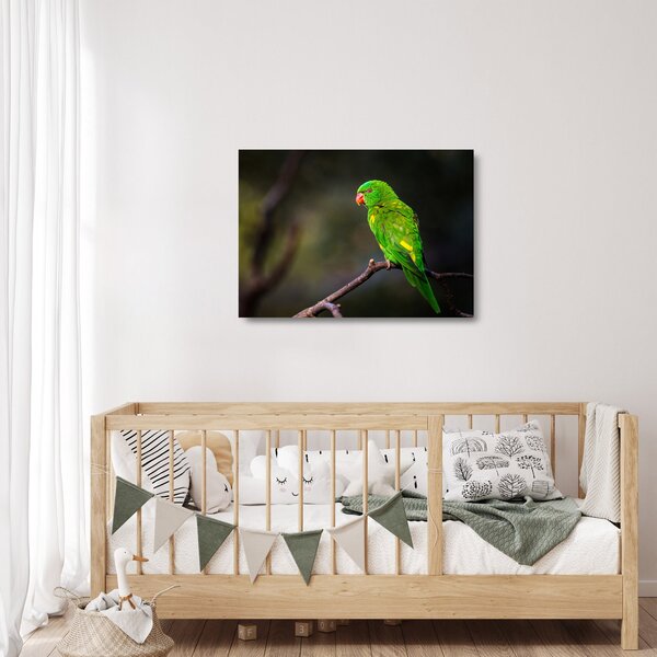 Staklena slika papige na grani (70x50 cm)