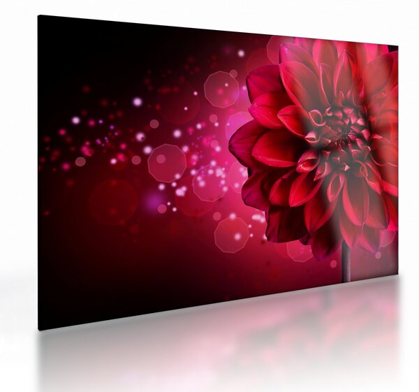 Staklena slika crvenog cvijeta (70x50 cm)