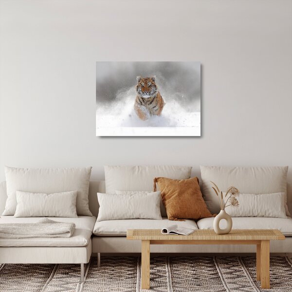 Staklena slika tigra koji trči u snijegu (70x50 cm)