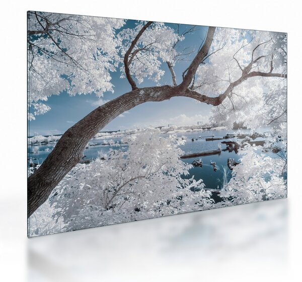 Staklena slika snježnog stabla uz vodu (70x50 cm)