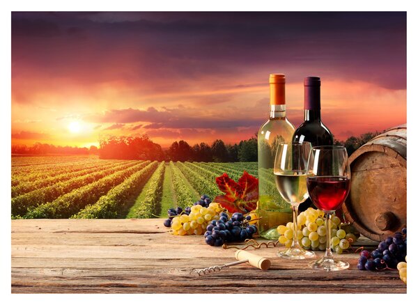 Staklena slika vinograda s vinom (70x50 cm)