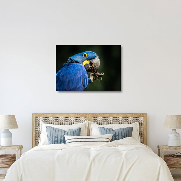 Staklena slika papige (70x50 cm)