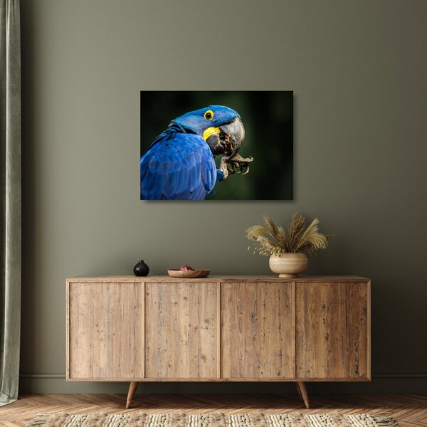 Staklena slika papige (70x50 cm)