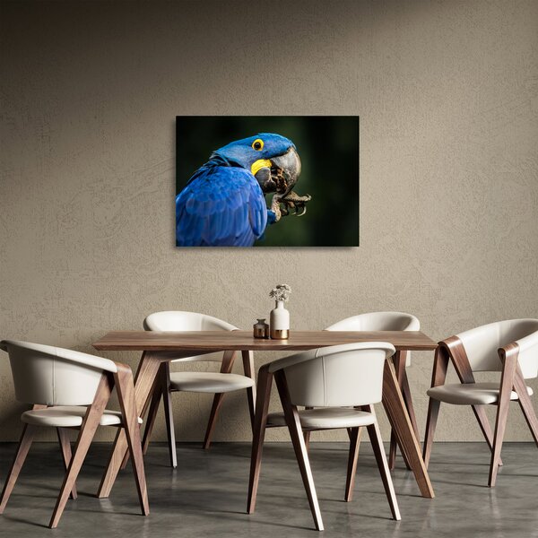 Staklena slika papige (70x50 cm)
