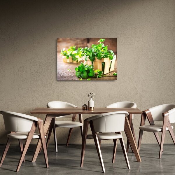 Staklena slika svježe metvice (70x50 cm)